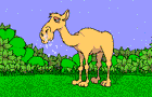 Animated Comments & Graphics