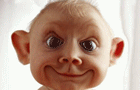 Funny Pictures Comments & Graphics